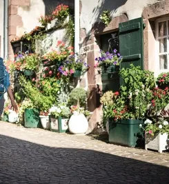 Village fleuri sur le chemin de Compostelle