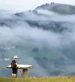 Vue avec brume matinale