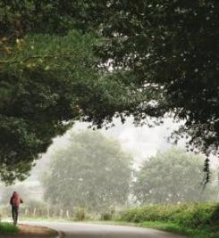 Chemin de Saint-Jacques-de-Compostelle