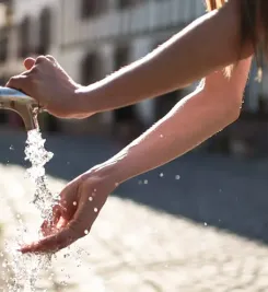 Rafraichissement à Saint-Jean-Pied-de-Port