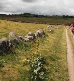 chemin-aubrac-velo