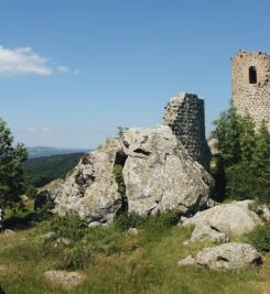 Le château d'Artias 