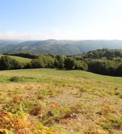 Paysage sur le chemin