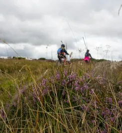 Randonnée en vélo sur le chemin de Compostelle
