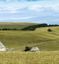 Paysage de l'Aubrac