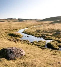 Randonnée sur le plateau de l'Aubrac