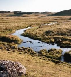 Plateau de l'Aubrac