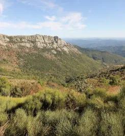 Relief des Cévennes