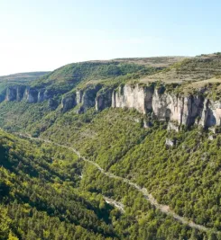Panorama sur les gorges du Tarn