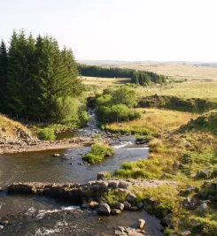 Ruisseau sur le plateau de l'Aubrac