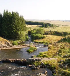 Ruisseau sur le plateau de l'Aubrac
