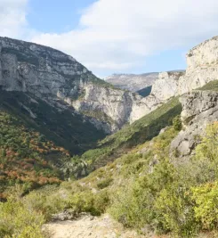 Les corniches du Tarn