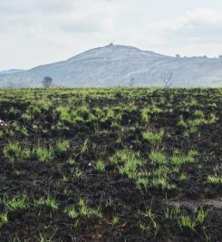 Vue sur les monts d'Arrée