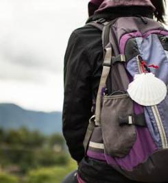 Coquille de pèlerin