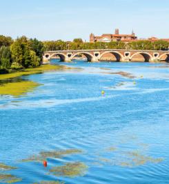 Pont Neuf de Toulouse