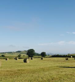 Paysage près du Puy-en-Velay