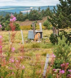 Paysage sur le Chemin de Stevenson