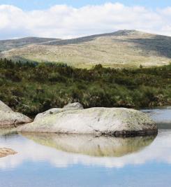 Paysage sur le Mont Lozère