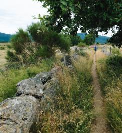 Randonneur sur le Chemin de Stevenson