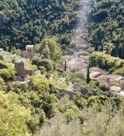 Paysage sur le Chemin de Stevenson