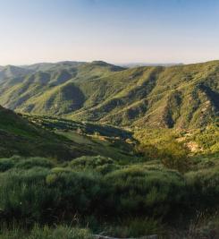 Paysage des Cévennes  