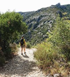 Randonneuse sur le Chemin de Stevenson