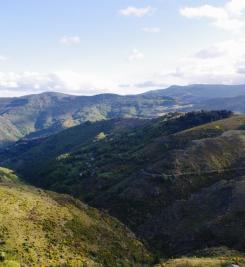 Paysage des Cévennes 