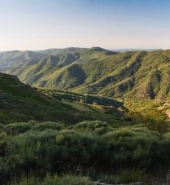 Paysage des Cévennes 
