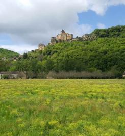 Château de Castelnaud