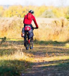 AdobeStock-GDM-photo-and-video