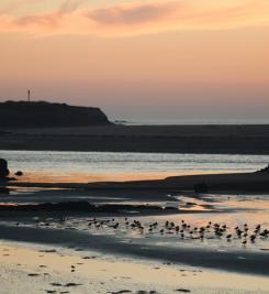 Bord de mer d'Esposend