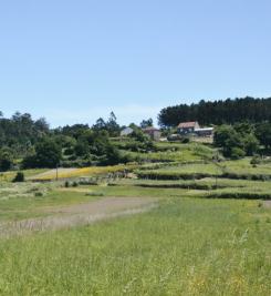 Campagne portugaise