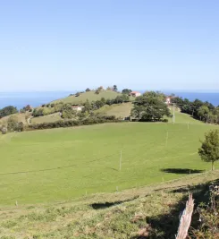 Vue sur mer depuis les hauteurs de Deba