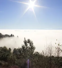 Mer de nuage sur la partie espagnole du chemin de Compostelle