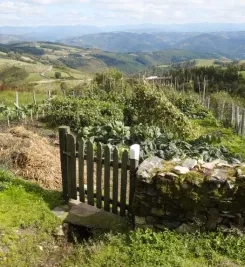Randonnée sur le camino Norte