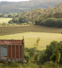 Grenier à grain en Galice