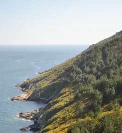 Vue sur le Cap Finisterre