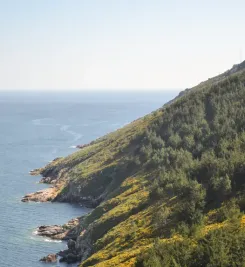 Vue sur le Cap Finisterre