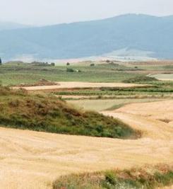 Paysage du Camino Frances