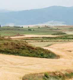 Paysage du Camino Francés