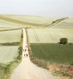 Chemin de Saint-Jacques-de-Compostelle