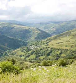 Monts Leon