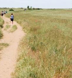 Chemin espagnol de Compostelle à vélo