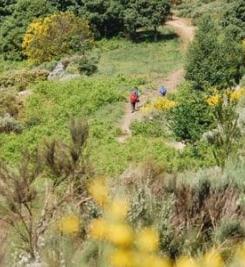 Pèlerin au cœur de la nature