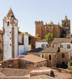 AdobeStock-Tonicarmona