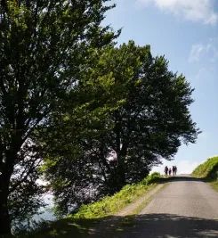 chemins-compostelle-randonneurs