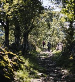 Pèlerins sur le Chemin de Compostelle