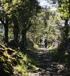 pelerins-chemin-saint-jacques-compostelle