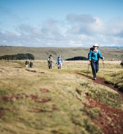 Pèlerins sur le Chemin de Compostelle