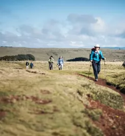 plateau-aubrac-chemin-puy